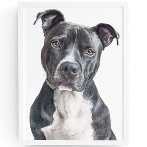 American Pit Bull Terrier Watercolor Wall Art Print Poster - Unframed